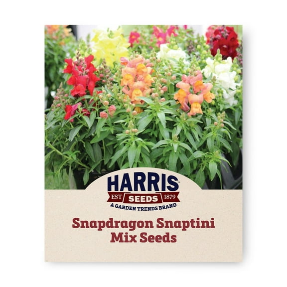 Harris Seeds - Snapdragon Snaptini Mix F1 Seeds - 9 Colors - 500 Seeds