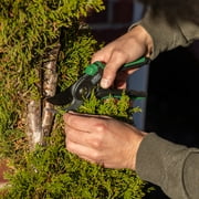 Expert Gardener Bypass Pruner, 1-inch Cutting Capacity