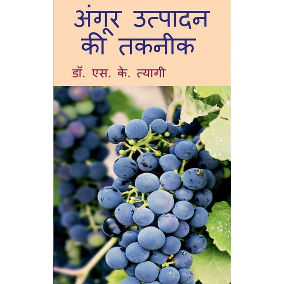 Angoor Utpadan Ki Takneek / अंगूर उत्पादन क, (Paperback)