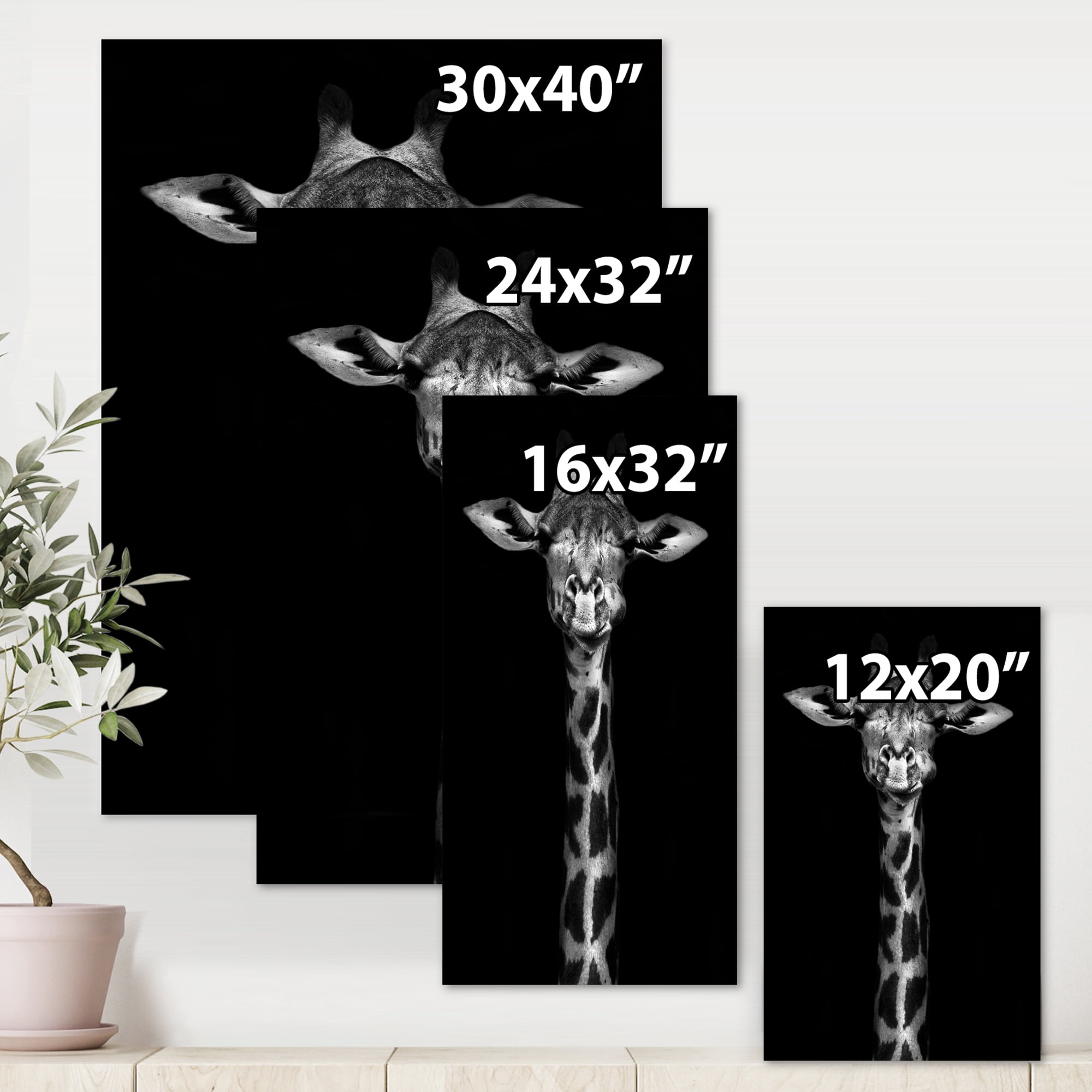 Designart ' Portrait Of A Giraffe In Monochrome ' Farmhouse Canvas Wall Art Print