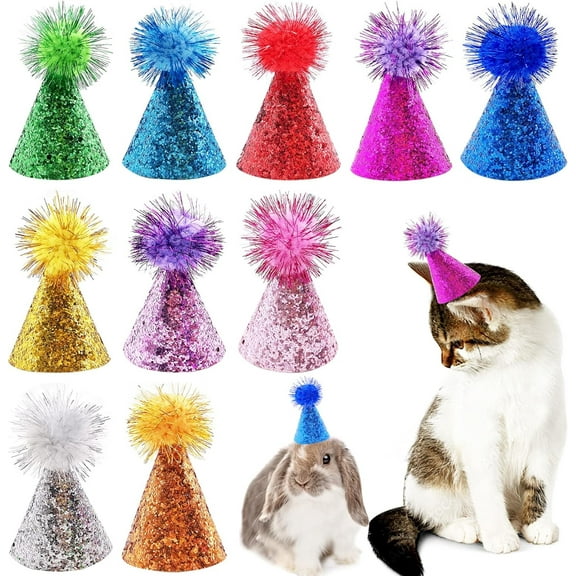 10pcs Mini Cat Hats, Multicolor Birthday Party Hats, Paper Cone Hats for Cat Dog Rabbit Birthday Holiday Decoration Supplies