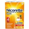 4 mg Nicotine Gum to Help Quit Smoking Flavored Stop Aid, Fruit Chill, 100 Count