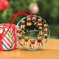 thumbnail image 4 of Customized Name Briard Glass Christmas Ornament, Briard Lover Keepsake Decor Gifts, Personalized Dog Xmas Tree Hanging Decor, Dog Lovers Christmas Ornament, Custom Pet Glass Xmas Tree Keepsake 2025, 4 of 6