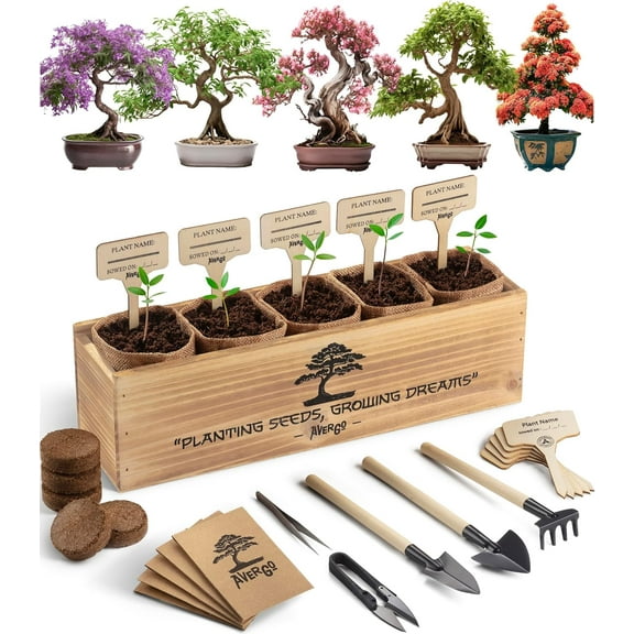 Bonsai Tree Kit – 5X Unique Japanese Bonzai Trees | Complete Indoor Bonsai Starter Kit for Growing Bonsai Plants with Tools & Planters – Gardening Gifts for Women & Men