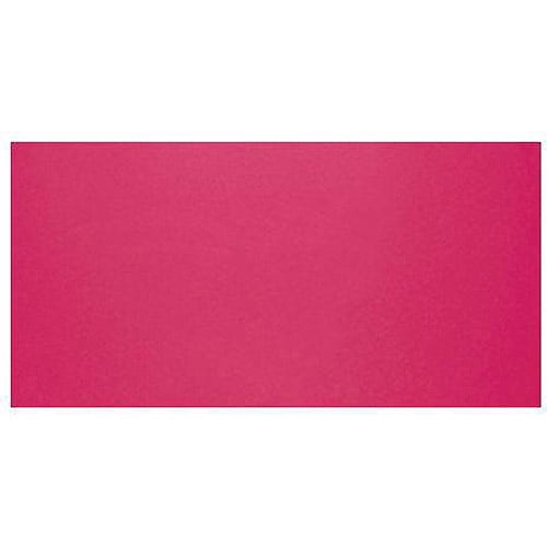 Indoor Outdoor Aerosol Paint 12 Ounces Mambo Pink Gloss