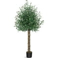 thumbnail image 1 of 67" Artificial Plant Olive Tree Faux Plant for Home Decor Indoor Outdoor Office, 1 of 7