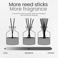 thumbnail image 2 of Brooklyn Fragrance Co. Park Slope - Long Lasting Scented Aroma Diffuser – Teakwood Air Freshener for Home- Fragrance Diffuser for a Large Room - 100ML, 2 of 7