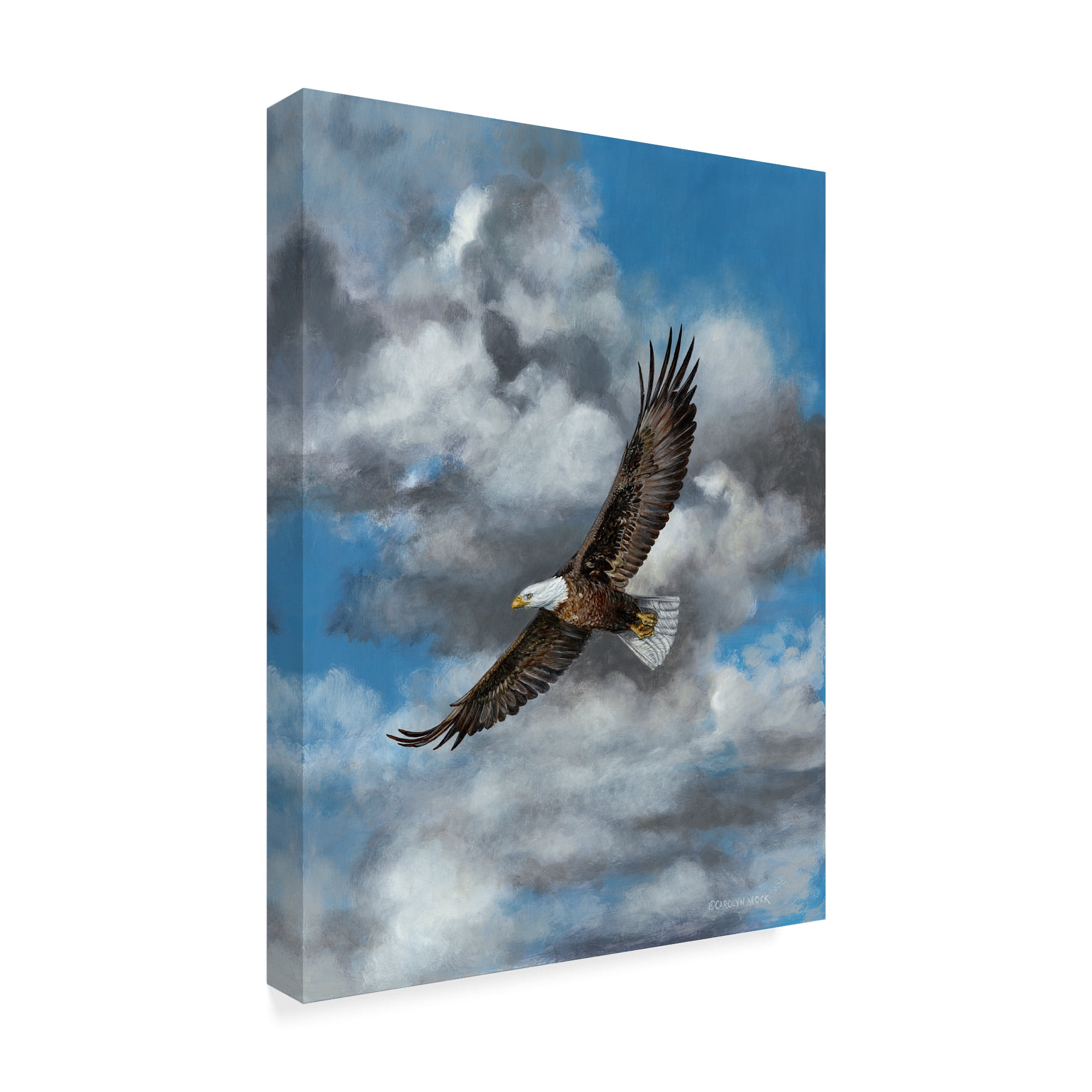 Trademark Fine Art 'The Soaring Eagle' Canvas Art by Carolyn Mock