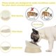 thumbnail image 2 of Slanted pet bowl for small dogs and cats, 2 of 5