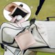 thumbnail image 5 of Toalla de limpieza portátil para pelotas de golf, limpiador de cabezas de hebilla de llavero doble Rosado DYNWAVEMX Limpieza de pelotas de golf, 5 of 7