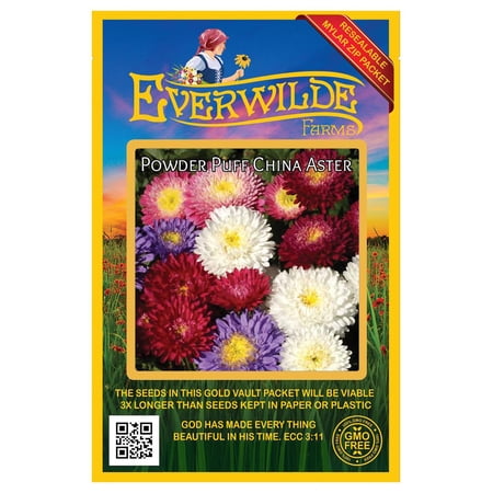 Everwilde Farms - 500 Powder Puff Mixed China Aster Garden Flower Seeds - Gold Vault Jumbo Bulk Seed Packet