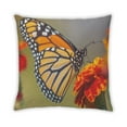 thumbnail image 2 of Ahgly Company Insects Butterfly Indoor Throw Pillow, 18 inch by 18 inch, 2 of 6