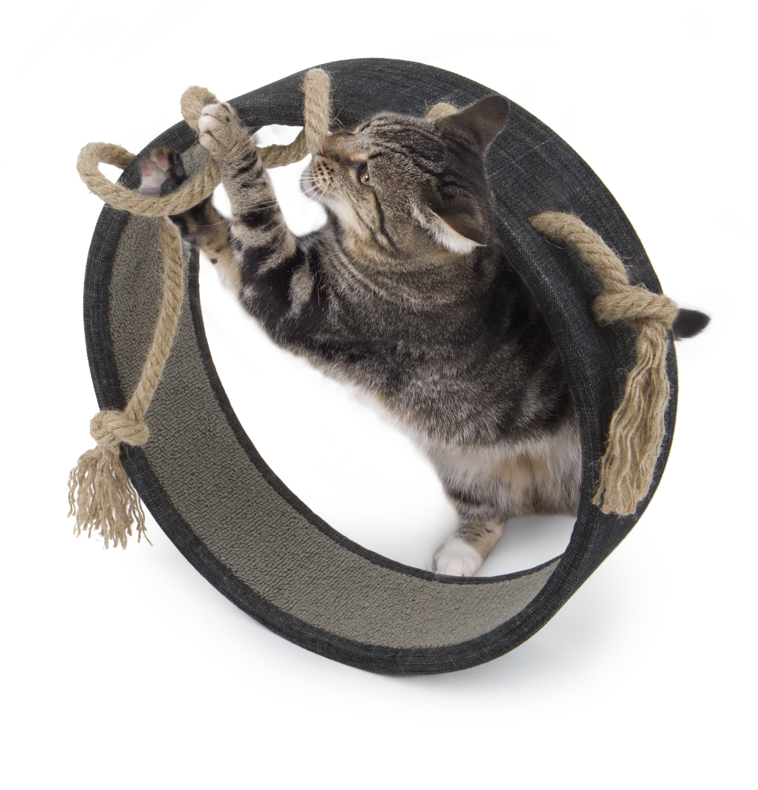 Petlinks top cat scratcher