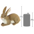 thumbnail image 3 of Design Toscano QM200861 Bashful the Bunny Lying Down Rabbit Outdoor Garden Statue, 10 Inch, Polyresin,full color, 3 of 5