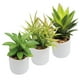 thumbnail image 1 of Paquete De 3 Plantas Pequeñas Artificiales Decoracion Hogar verde 1 Sky Green HJ3P3P010001, 1 of 4