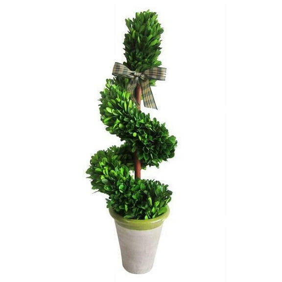 23 in. Boxwood Rotate Topiary Tree