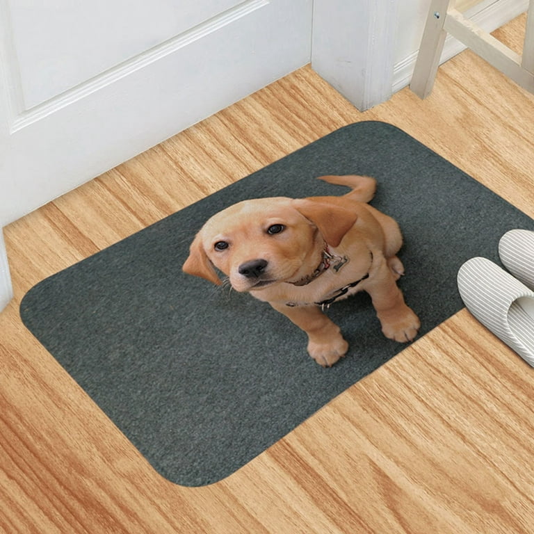 COSY HOMEER Indoor Door Mat Floor Mats Entryway Rug for Home Dog