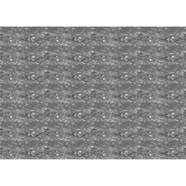 Ahgly Tapis Rectangulaire Lavable en Machine Intérieur Transitionnel Gris Cendré, 4 Pieds x 6 Pieds