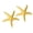 Yellow, variant on wutoase 2 Pcs Mini Resin Starfish, Tiny Summer Ocean Decor, Figurine for Fairy Garden Ornament, Miniature DIY Crafts, Beach Party & Home Decoration