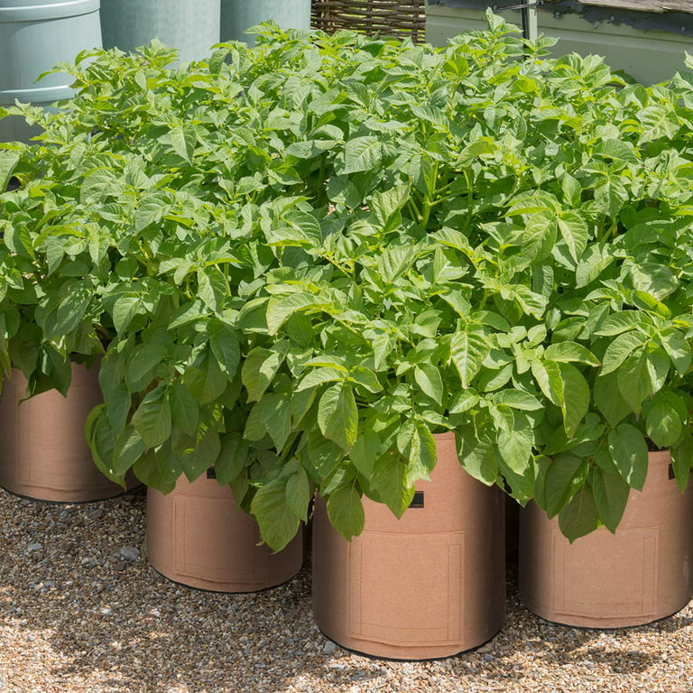 Vegetable Planting Grow Bags 3 Pack 7 Gallon Potato Grow