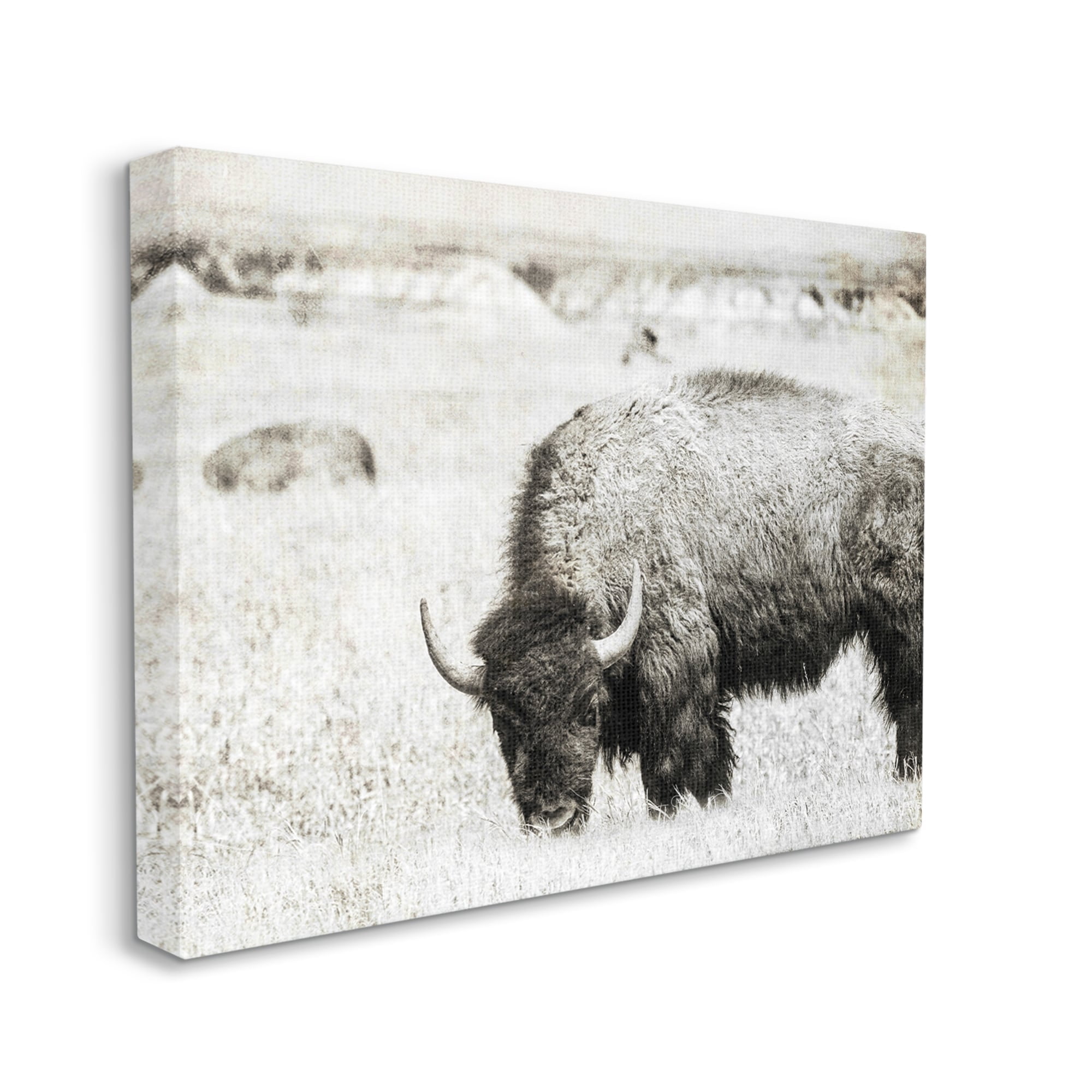 Stupell Industries Farmland Country Bison Bull Grazing Pasture Monochrome Canvas Wall Art, 30 x 24, Design by Daniel Sproul
