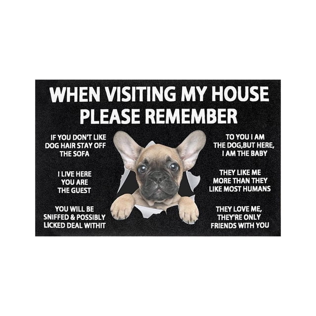 zhangmingg Indoor and Outdoor Welcome Mat Non- Entrance Rug for Easy Clean Home Floor