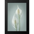 thumbnail image 2 of Mahan, Kathy 17x24 Black Modern Framed Museum Art Print Titled - Peace Lily I, 2 of 5