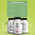 thumbnail image 3 of Seroburn Max Powerful Supplement Formula with Ashwagandha Vitamin D &amp; Magnesium Natural Sleep Aid &amp; Recovery Support-(3 Pack), 3 of 5