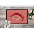 thumbnail image 2 of Carolines Treasures 8351JMAT 24 x 36 In. Strawberry Snapper Indoor or Outdoor Mat, 2 of 4