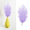 thumbnail image 2 of Large Ostrich Feathers for DIY Crafts,Soft Natural Ostrich Feathers,Craft Feathers for Thanksgiving Decor Angel Wings Dream Catchers,and Social Theme Art Projects, 2 of 2