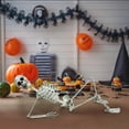 thumbnail image 2 of 2.9ft Halloween Skeleton Prop Halloween Decorations life Size Skeleton Skull Hand Anatomy Model Yard, Lawn and Home Decor, 2 of 7