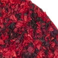 thumbnail image 3 of SAFAVIEH Rio Cassandra Confetti Polyester Shag Area Rug, Red/Multi, 6' x 6' Round, 3 of 7