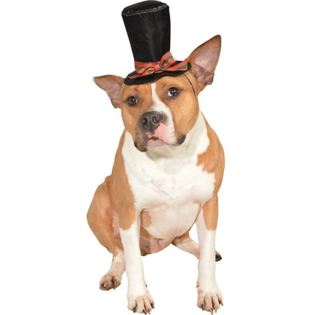 Christmas Caroler Pet Dog Cat Holiday Costume Victorian Top Hat