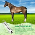 thumbnail image 2 of Horse Measuring Tape for Height and Weight 250cm or 8.2ft  Horse Weight Tape Portable PVC Weight Tape Measure for Horses, 2 of 6