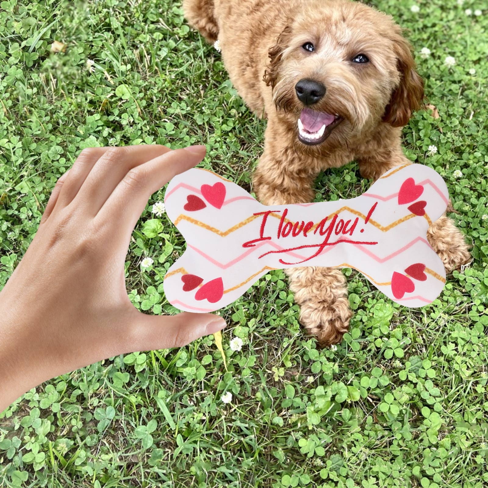 1 Pack Valentine Toys for Dogs Plush Squeaky Bone Shaped Funny Dog Toy Birthday Gift for Small Medium Large Sized Dogs(Heart)