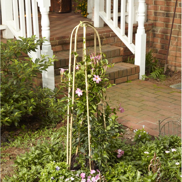 【ほぼ新品】Inner Bamboo U-II Gardenpath, 0443036, Garden Bamboo U-Hoop - 12 Pack, Color