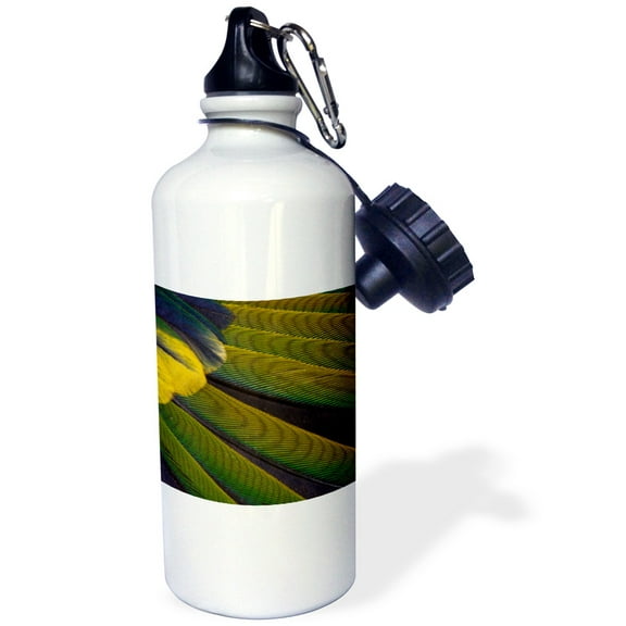 3dRose, Jenday Conure wing feather detail, 21 oz Sports Water Bottle