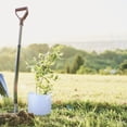 thumbnail image 1 of SWETRACE 10 Pcs Pots de Jardin Ronds en Tissu Non Tissé pour Utilisation Spatiale Jardinage, 1 of 6