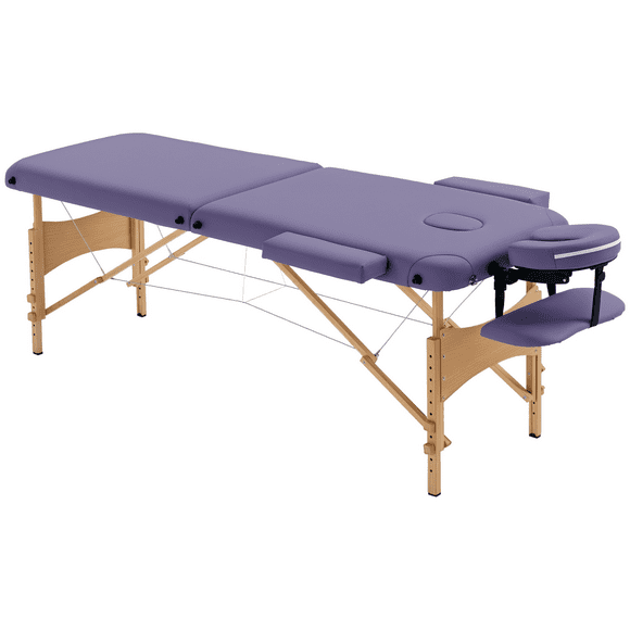 2 Section Massage Table Bed Spa Facial Couch Table Foldable w/ Carry Case