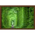 thumbnail image 2 of Wonder of Nature  Real Tunnel of Love, Green Trees and the Railroad, Ukraine, Scenic Framed Art Print Wall Art by Taiga Sold by Art.Com, 2 of 6