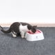 thumbnail image 3 of Pet Non-wet Mouth Bowl Splash-proof Drinking Durable Plastic Portable Dog Bowl Drinking Fountain Bowl ShopWise Round, 3 of 9