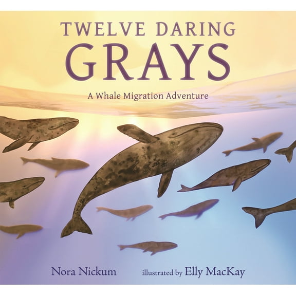 Twelve Daring Grays: A Whale Migration Adventure, (Hardcover)