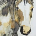 thumbnail image 5 of 32" x 36" Horse Framed Wall Art with Gold Frame, by DecMode, 5 of 8