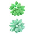 thumbnail image 1 of Suculentas Cactus Throw Novedad Cojín Suave Decoración para Juguete 45cm+Suculentas Cactus Throw Novedad Co Gloria Almohada de cactus suculentas, 1 of 5