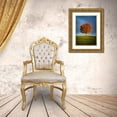 thumbnail image 3 of Murko, Dominik 24x32 Gold Ornate Wood Framed with Double Matting Museum Art Print Titled - Contrast ddsid, 3 of 4