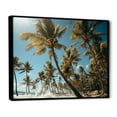 thumbnail image 2 of Designart "Palm Trees landscape I" Floral Floater Framed Canvas Wall Art, 2 of 7