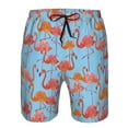 thumbnail image 4 of Naloa Flamingo Men's Beach Shorts, Surfing shorts, Swim trunks, Quick Dry Swim Trunks for Surfing Beach Fun - Small, 4 of 9