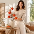 thumbnail image 5 of Velvet Pumpkin Chenille Sticks, Orange Artificial Pumpkin Branches, Fake Berry Picks for Fall Festival, Thanksgiving, Halloween, Border, Table & Vase Arrangement (24.41*1.97in), 5 of 8