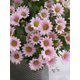 thumbnail image 4 of 1PC 21heads Artificial Daisy Flowers Bouquet Valentine'S Day Gifts Bundle Decoration Wedding Decoration Bride Handheld Flower Wrist Flower Breast Mate, 4 of 4