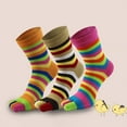 thumbnail image 5 of 6 Pairs Women Cotton Five Finger Ankle Socks Rainbow Colorful Striped Breathable Toe Separated Mid Tube Hosiery Gifts, 5 of 21